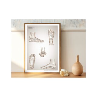 Reflexzonenmassage Plakatplakat