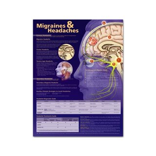 Lehrtafel Migräne und Kopfschmerzen, laminiert 51x66 cm (englisch)