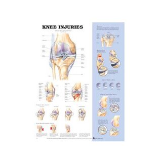Knieverletzung Poster Englisch