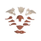 Weibliches Beckenmodell mit 12-teiligem Beckenboden