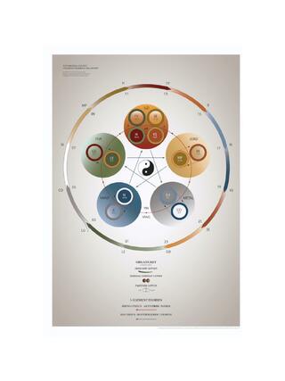 Posterserie: Die Essential Charts – 5-Elemente-Theorie & die Organuhr