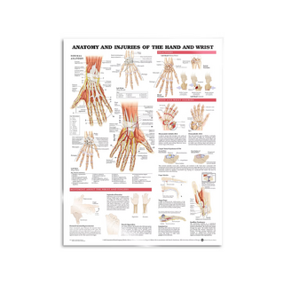 Poster - Anatomie und Pathologie der Hand und Handgelenk