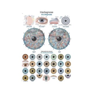 Diagramm Iris Diagnose Anatomie Poster 50x70cm
